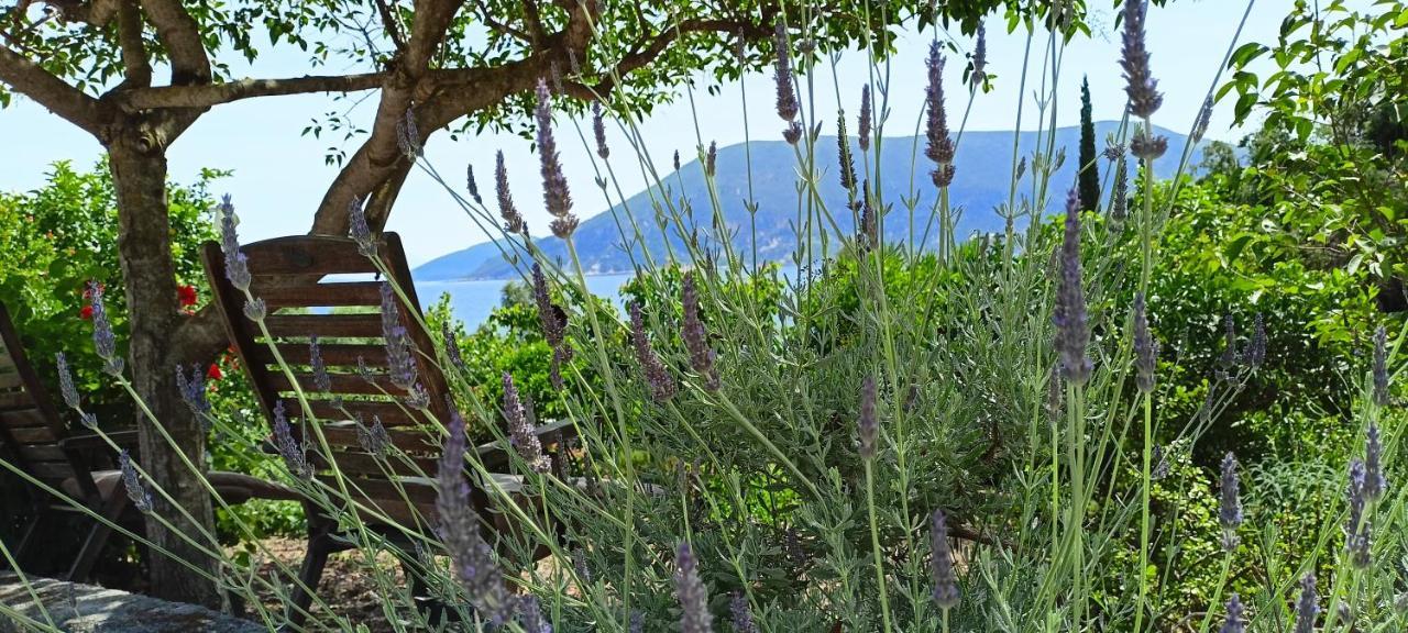 Kaminakia Apartments: Adults-only Oasis With Sea Views And Forest Tranquility Apartment Fiskardo